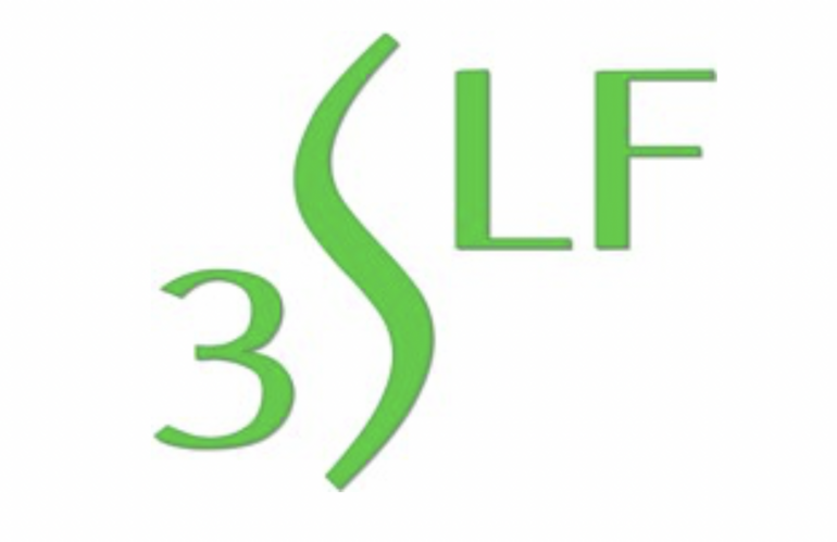 8 juin 2026 – Journée d&rsquo;études de la 3SLF à Lyon